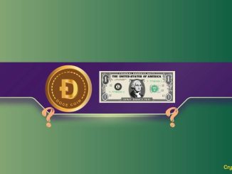 Can DOGE Reach $1 This Bull Run?