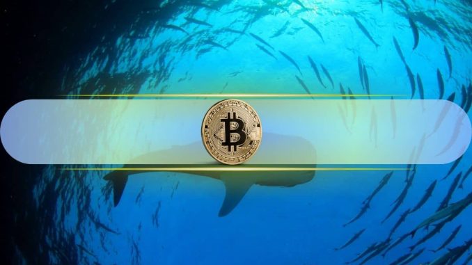 Fifth Richest Bitcoin Address Transfers $6 Billion in BTC Amid Surge Past $70K
