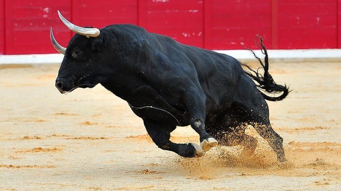Arthur Hayes says macro setup favours Bitcoin bulls as KangaMoon attracts investors