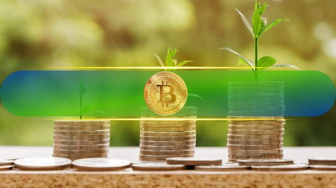Bitcoin Investors Continue to Take Profit as BTC Price Slides to 10-Day Low: Bitfinex
