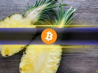 Bitcoin Layer 2 Tokens Outperform BTC Post-Halving