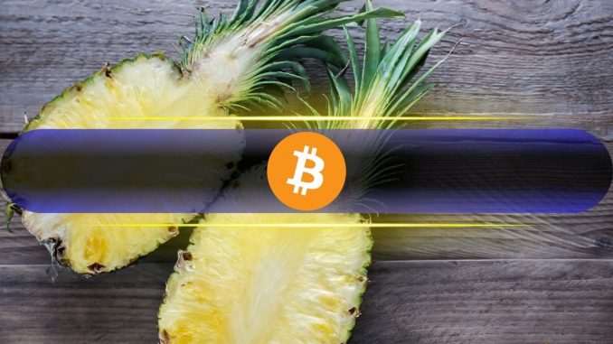 Bitcoin Layer 2 Tokens Outperform BTC Post-Halving