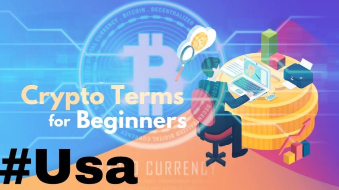 Cryptocurrency 101: Essential Terms Explained for Beginners #cryptotermsforbeginners 🔥#usafinance