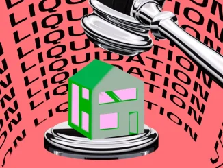 $26.8 Million Liquidated on Pac Finance Due to Sudden Protocol Changes