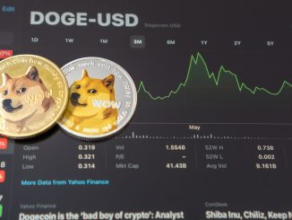 Will other memecoins follow suit?