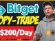 Copy Trading on Bitget: The Ultimate Guide to Social Trading for Beginners and Experts ( RESULTS)