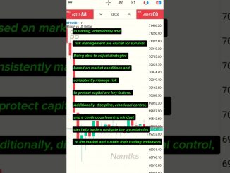 Forex trading for beginners #3 - What helps you survive? #forex #priceaction #bitcoin #crypto