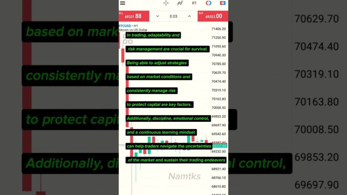 Forex trading for beginners #3 - What helps you survive? #forex #priceaction #bitcoin #crypto