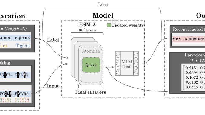 FusOn-pLM: Advancing Precision Therapy for Fusion Oncoproteins through Enhanced Protein Language Modeling