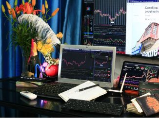 GameStop GME meme coins
