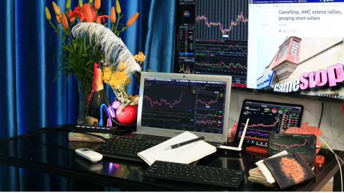 GameStop GME meme coins