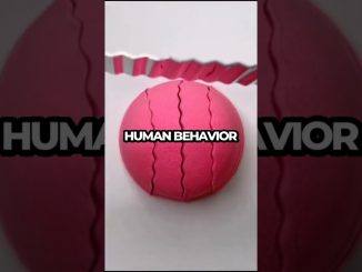 Meet Your Future Self: AI Chatbot Guides Life Choices #Shorts