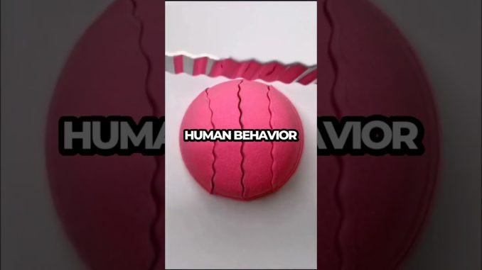 Meet Your Future Self: AI Chatbot Guides Life Choices #Shorts