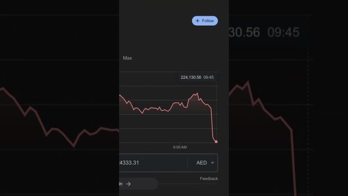 When Bitcoin Crashes… #motivation #2024 #money #beginners #rich #crypto #bitcoin #milliondollarbaby