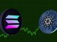 Cardano Solana news