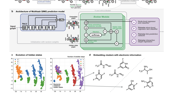 Integrating Stereoelectronic Effects into Molecular Graphs: A Novel Approach for Enhanced Machine Learning Representations and Molecular Property Predictions