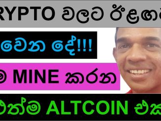 WHAT'S NEXT FOR CRYPTO? | THE NEXT ALTCOIN I'M MINING SOON!