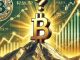 Bitcoin’s All-Time High in March: Why It Might Not Be the Final Peak Yet—CryptoQuant