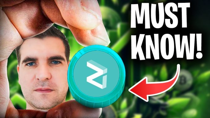 Zilliqa 2.0 (ZIL) Review: A Beginners Guide