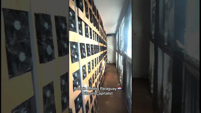 Bitcoin Mining Paraguay #bitcoinmine #crypto #minebitcoin #btc #antminers #bitcoinminers
