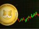 Shiba Inu Analyst Warns of SHIB Price Drop as Shibarium Adoption Collapses, Points to $0.03 Altcoin for 5000x Gains