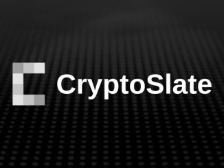Sui network outage triggers 7% price drop despite broader bull market