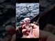 Ai MAZE #universe #mermaid #uniquecreators #ai #reels #shorts #news #newmusic