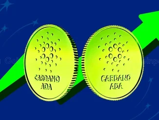 Cardano Price Prediction For November 27
