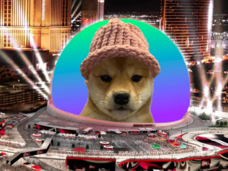 Solana Meme Coin Dogwifhat Has No Deal With Las Vegas Sphere, Venue Says