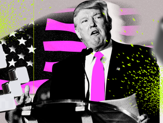 Over 40% of TRUMP Meme Coin Holders are First-Time Investors, Survey Claims