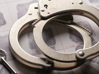 Florida Woman Accused of $850K Trump Solana Meme Coin Theft, Faces Deportation