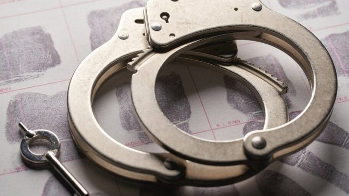 Florida Woman Accused of $850K Trump Solana Meme Coin Theft, Faces Deportation