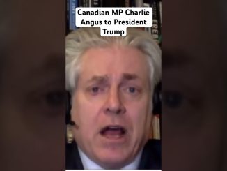 Canadian MP Charlie Angus #trump #economy #tariffs #usa #canada #markcarney #ai #news #asiannews