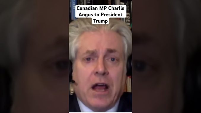 Canadian MP Charlie Angus #trump #economy #tariffs #usa #canada #markcarney #ai #news #asiannews