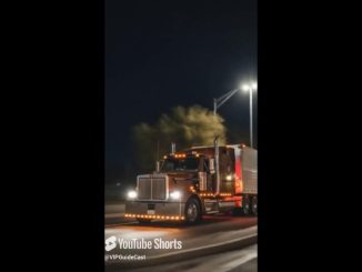 VIP GUIDE LIVE w/AI Content