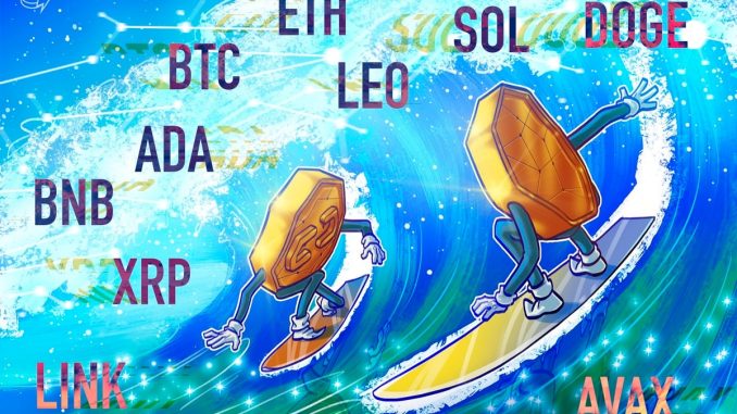 BTC, ETH, XRP, BNB, SOL, DOGE, ADA, LEO, LINK, AVAX