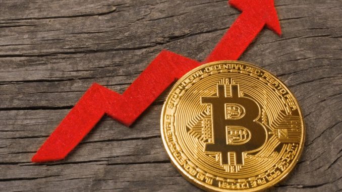 Cathie Wood's Ark Invest Makes Boldly Bullish Bitcoin Price Prediction