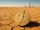 Kuwait bans Bitcoin mining over energy concerns and legal violations