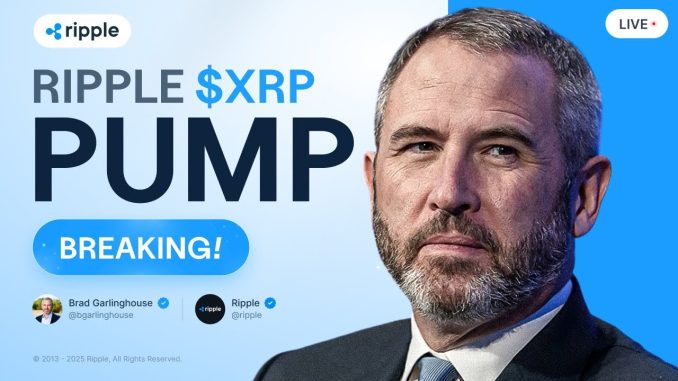 Brad Garlinghouse: Ripple PUMP - Is Bull Run CONFIRMED?! XRP Price Prediction