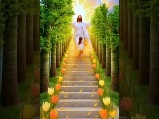 ❤️Jesus saves,loves,and guides🙏 #jesus  #lord #ai  #shorts #viralvideo