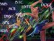Bitcoin And HYPE Lead Fresh Crypto Rally Toward New Highs