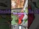 Inside Air India Flight AI 171cockpit #airport #airindiacrash #news #shorts