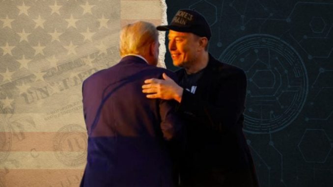 World Liberty advisor faces six-figure loss after shorting $TRUMP on Trump-Musk fallout