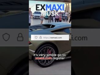 Beginner’s Guide to Weird Crypto 100% Real #highperformance #cryptoai #consistencyiskey