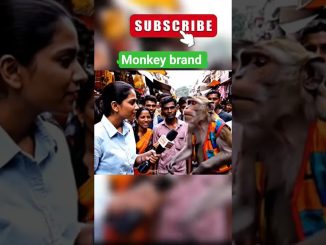 monkey Ai news #monkeyai #trending #shorrfeed #viral