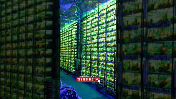 बिटकॉइन माइनिंग कैसे होती है😱| bitcoin mining🤑 @TheCryptosWorlds #bitcoin #bitcoinnews #mining