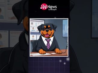 Crypto News #01 | MNews #cryptonews #cryptocurrency #bitcoinnews #bitcoinhindi