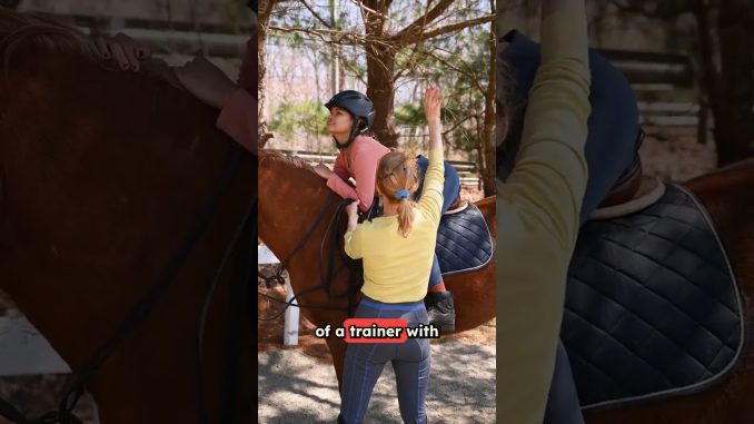 Fake Orca Attack Video Exposed