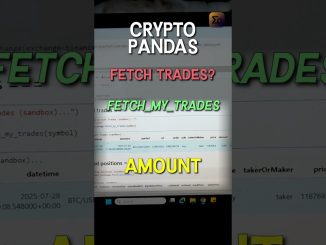 Fetch ALL Your Crypto Trades (Python for Beginners!) #ccxt #cryptotrading