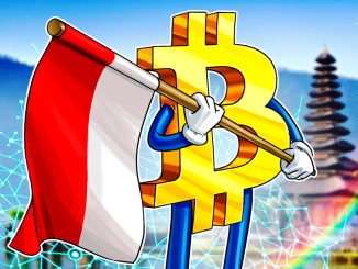 Indonesian Government Is Considering a Bitcoin Reserve